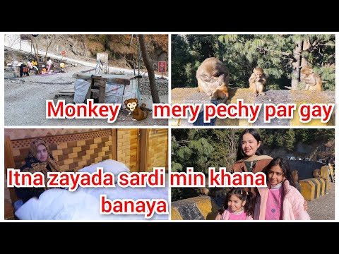 Monkey 🐒 mery pechy par gay/itna zayada sardi min khana banaya/mustafa sajid vlogs