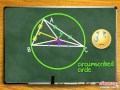 Triangle Centers and Euler Line Concepts