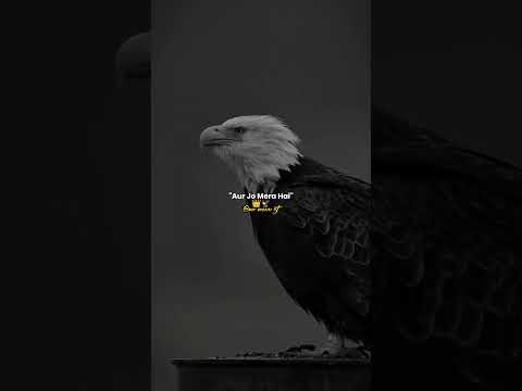 Jo Mera Hai Wo Mai Chhodta Nahi #trending #dialogue #2026