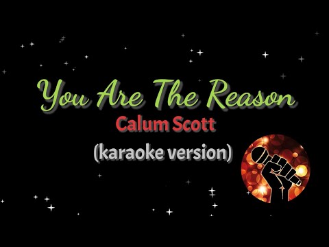 YOU ARE THE REASON – CALUM SCOTT  (karaoke version)