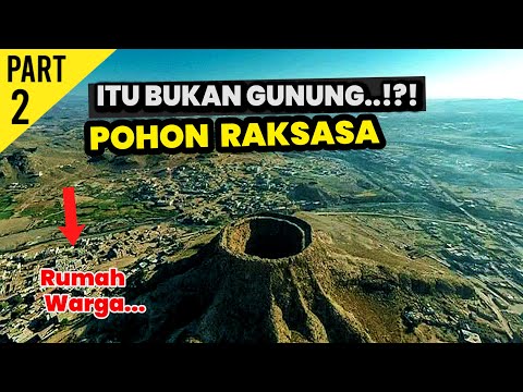 FAKTA MENGEJUTKAN POHON PURBA RAKSASA DI BUMI