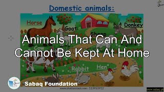 Animals That Can and Cannot be Kept at Home