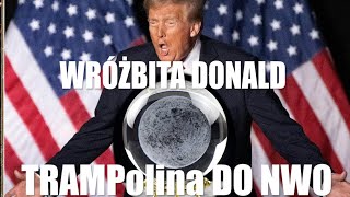 WRÓŻBITA DONALD - TRAMPolina do NWO - CO TAM PANIE W POLITYCE -  18.07.2025 Jarosław Dobrucki