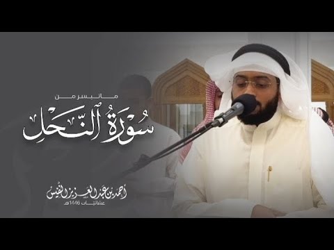 بترتيل الصبا الحزين تلاوة مؤثرة من سورة النحل | عشائيات المزيني