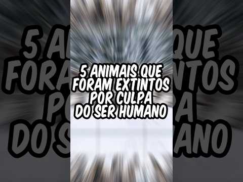 5 animais que foram extintos por culpa do ser humano😲