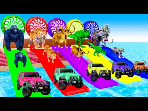 Paint Animals Cow Elephant Bear Tiger Dog, Fountain Crossing Transformation Cartoon
