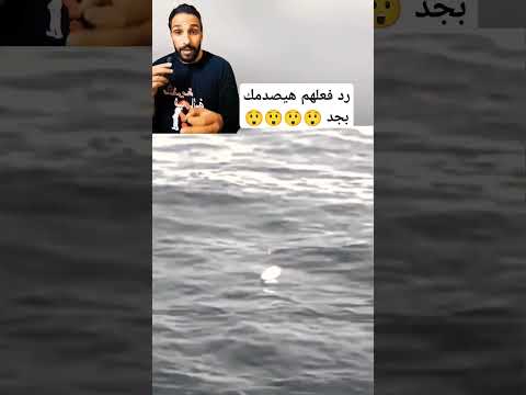 رد فعل طاقم السفينه سريع جدا لما وقع النابالم من الطائرة