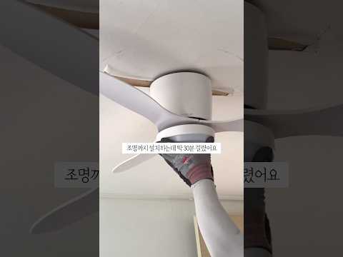 월세만기 4개월 남기고... #실링팬