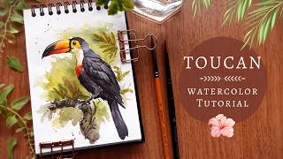 Loose Watercolor Toucan Bird: Full Tutorial