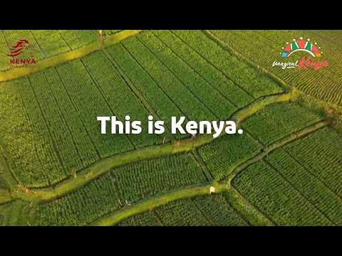 Welcome To The Farms Of Magical Kenya