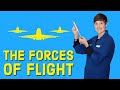 Principles of Flight and Forces