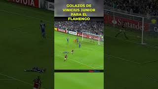 GOLAZOS DE VINICIUS JUNIOR PARA EL FLAMENGO #realmadrid #shots #short #shortsfeed #futbol #football