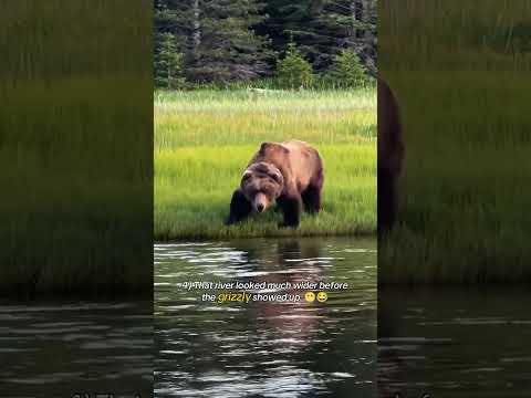 Top 11 surprising wild animal moments. 🐾😲 #animals #wildlife #nature