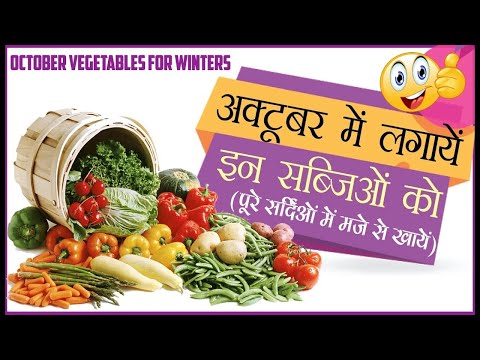 अक्टूबर महीने में लगायें ये सारी सब्ज़ियाँ  Best Vegetables you can grow in October