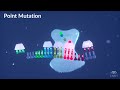 Differentiating Point and Frameshift Mutations