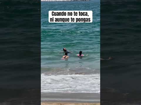 No se percataron de la aleta que pasó al lado 🥴