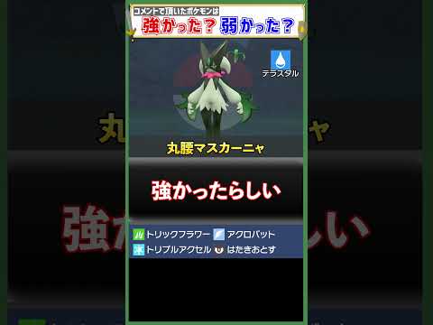 持ち物『なし』……?????
