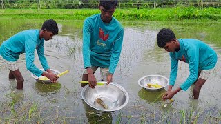 বিলে কলা গাছের ড্যাম দিয়ে বরশি তৈরি করে মাগুর-বেলে কৈ মাছ ধরা। Traditional Hook fishing in village 