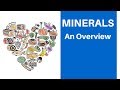 Trace Minerals and Their Functions