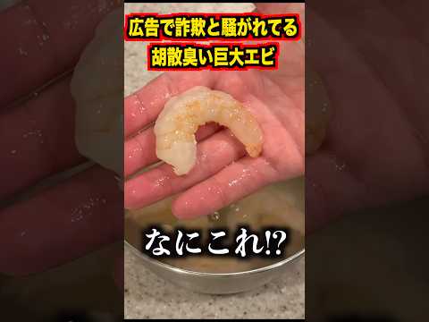 広告で詐欺と騒がれてる巨大エビを実際に買ってみると。。。#shorts #イケメン #イケオジ #イケボ #飯テロ