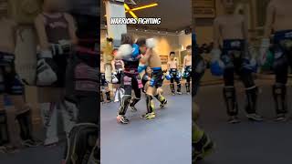 Fearless Fight: The Ultimate Sanshou Showdown