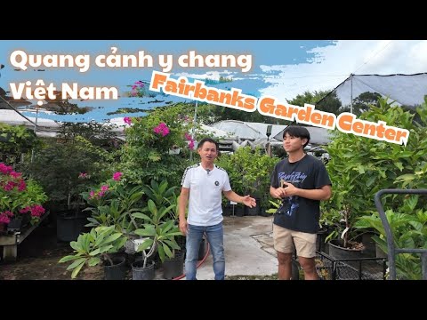 Đem vườn cây Việt Nam về Mỹ !