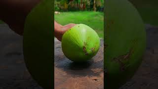 Very beautiful coconut cutting video