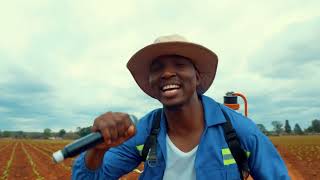 Freeman HKD - Bvira Vira ft  Spirit ZW [Official Audio] Visualiser