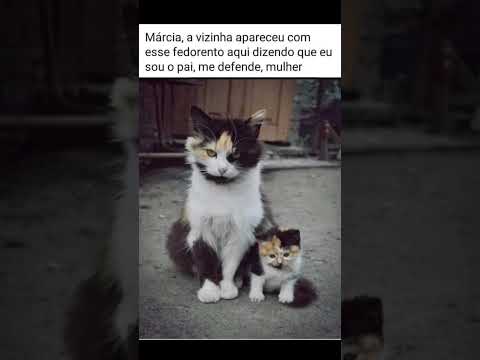 Quando o DNA fala mais alto e não tem como negar a paternidade