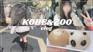 【vlog】しにかけのしゅなをお出かけに連れてってくれた🐇🍜