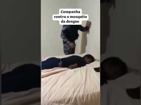campanha contra o musquito da dengue