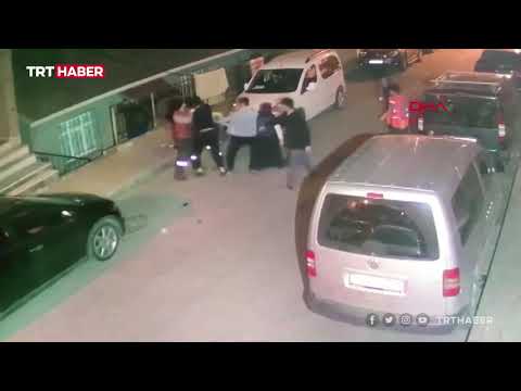 Parke taşıyla temizlik görevlisini darbettiler