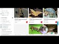 Species Conservation and IUCN Red List