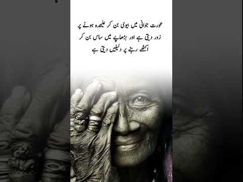 #quotes #poetry #motivation #aqwalezareen #4line #love #shorts