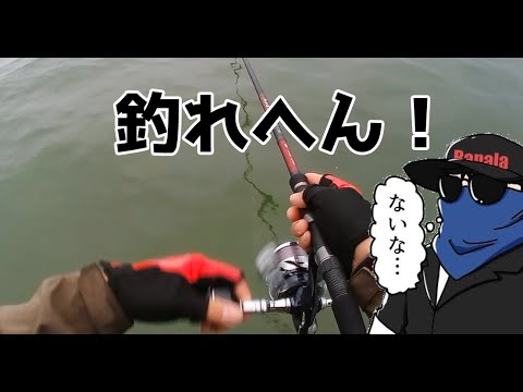 ゆるく釣ります！　その168 最近マジで釣れんので初夏を振り返る動画