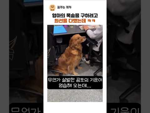 형아의 목숨을 구하려고 최선을 다했는데 ㅋㅋ