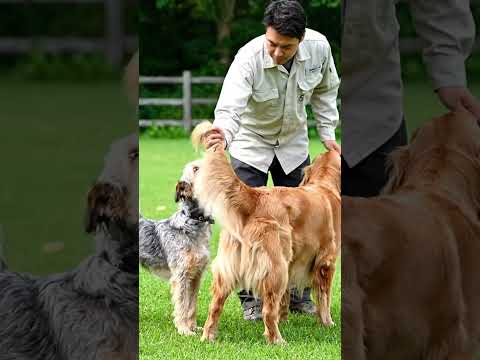 C0llaborate as a family partner @ 6