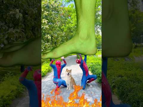 GIANT HULK CHALLENGE RAINBOW Cappuccino Assassino In GTA 5 Corgi Rescue #gta5 #shorts #hulk