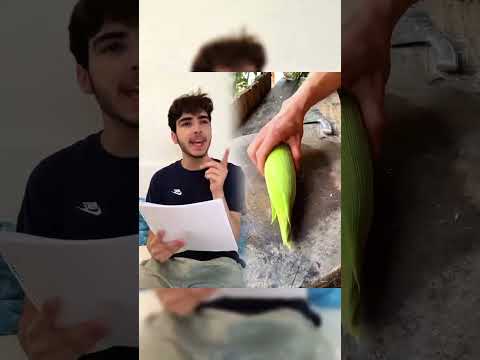 #Komödie #Märchenstunde #Sketch #pov #virale #fürSie #fyp