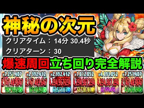 【神秘の次元】ギミック全対応！爆速ロザリンPTを詳しく解説！妖精の称号をGETしよう！【スー☆パズドラ】