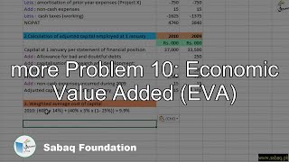 more Problem 10: Economic Value Added (EVA)