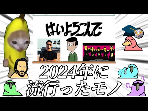 【Party Parrot】2024年に流行ったものを学ぶParrot【猫ミーム】【はいよろこんで】【パーティーパロット】【TINTIN Parrot】