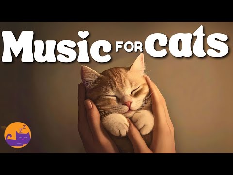 Healing Cat Music - Soothing Lullabies for Your Cat to Sleep With 🐱💤