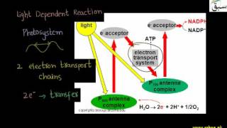 Energy Transfer Process