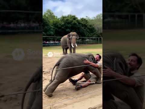 The "Pick Me Up" Attempt