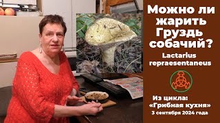 видео
