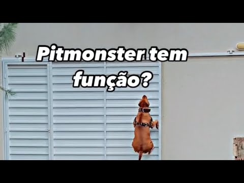 O que é função?