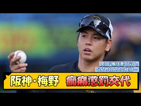 阪神・梅野　癇癪懲罰交代【なんJ/2ch/5ch/ネット 反応 まとめ/阪神タイガース/岡田監督/梅野隆太郎】