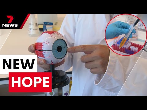 Researchers working on new injection that could reverse blindness | 7NEWS