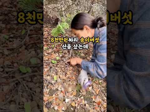 8천만원 산을 샀는데 황당한 일을 겪었습니다
